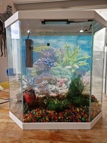 ciano aqua 30 aquarium 25l