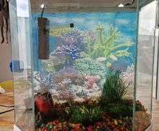 ciano aqua 30 aquarium 25l