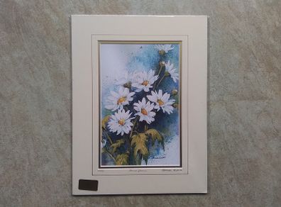 Daisy Daisy L/E Print.
