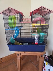 Hamster cage