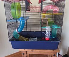 Hamster cage