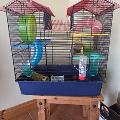 Hamster cage