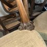 Vintage dining chairs Image 6