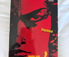Vagabond Vizbig Volume 1