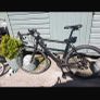 bike Image 2