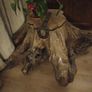 Tree trunk coffee table spectacular Image 8