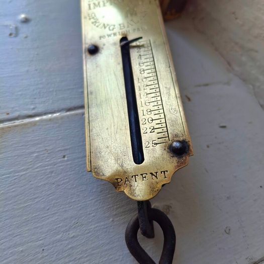 Salter Spring Balance Pocket Scale