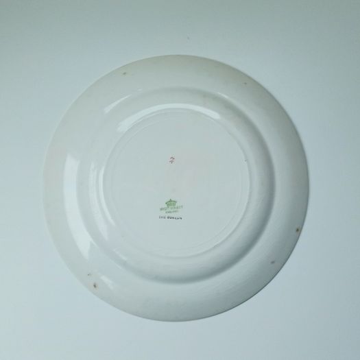 Myott Son & Co  plate "The Burton" discontinued design