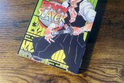 Demon Slayer Episode 17