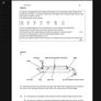 Leaving Cert Physics Institute Notes Image 2