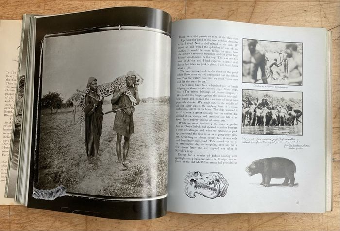 Peter Beard - End of the Game