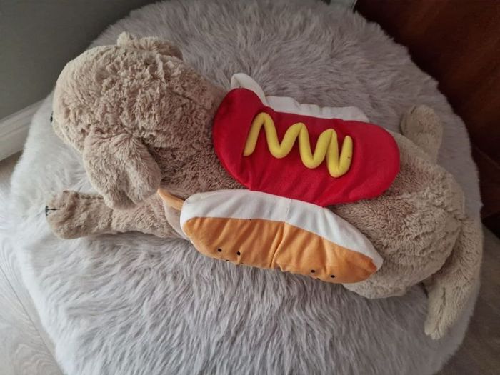 dog cloth
