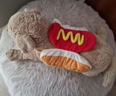 dog cloth