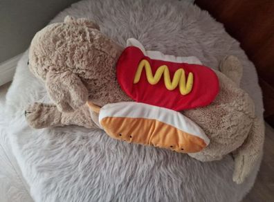 dog cloth