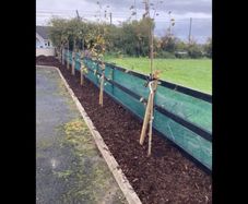 Cheap  new Garden netting