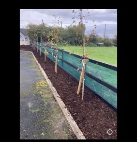 Cheap  new Garden netting