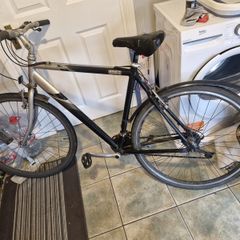 Raleigh adul bike