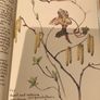 The Country Diary of an Edwardian Lady by Edith Holden Image 6