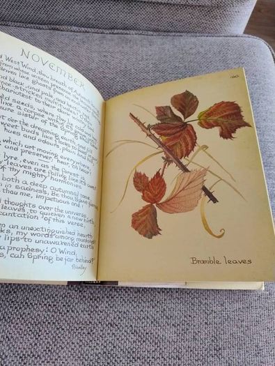 The Country Diary of an Edwardian Lady 1979 by Edith Holden in very good condition with some wear to the dustcover see photos FREE STANDARD POSTAGE INCLUDED