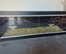 Vivarium