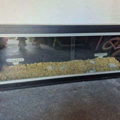 Vivarium