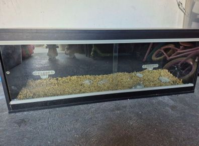 Vivarium