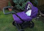 Pram/Buggy