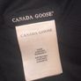 canada goose Image 4