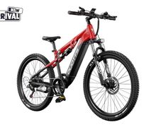 DUOTTS E29 Electric Bike