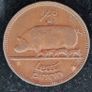 Ireland 1949 Half Penny coin Image 2