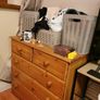 Chest of drawers Image 2
