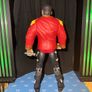 wwe elite Jerry lawler Image 2