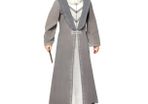 Dumbledore - Halloween adult costume