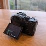Sony A7iii Low Shutter Count Image 5