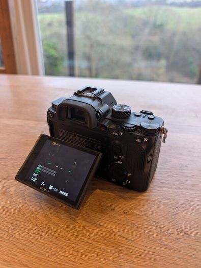 Sony A7iii Low Shutter Count