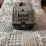 cat Image 10