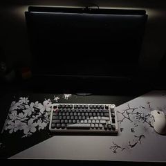 Gaming setup