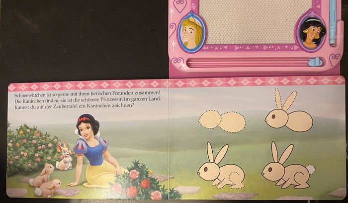 Disney princess magic book