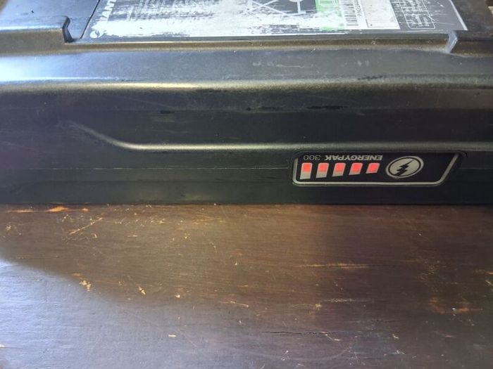 Giant Ease E Engergy pak 300 soare battery