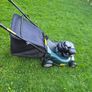 Pro Lawn Self Drive lawnmower Image 6