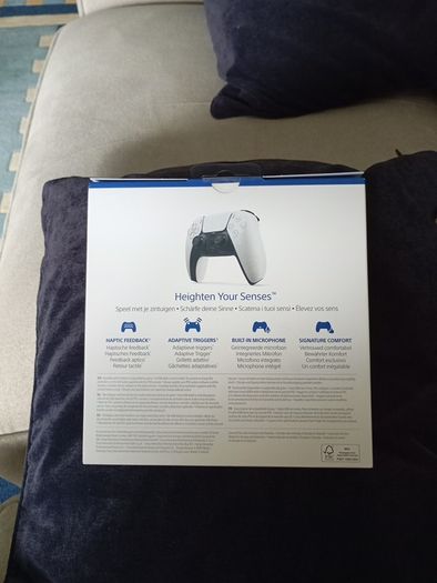 PS5 DualSense Controller