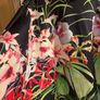 Ted Baker skirt Image 3
