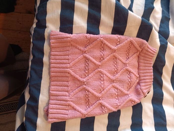 dog clothes
