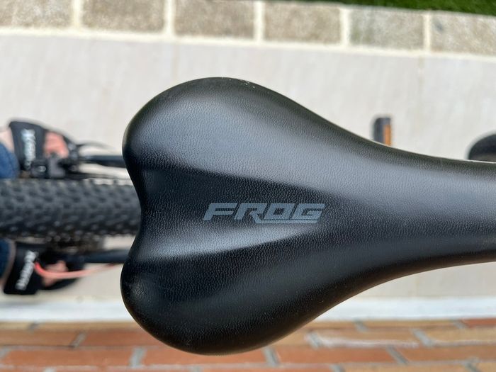 Frog Mountain Bike
