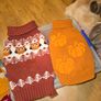 Dog Outfit's Image 4