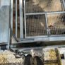 Mobile cage dipping Image 4