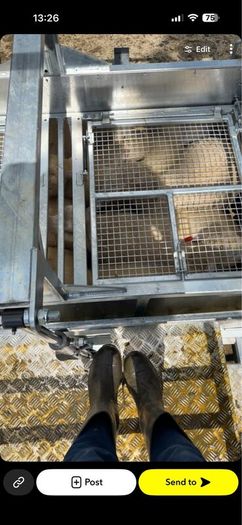 Mobile cage dipping