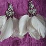 Earrings/ jewellery Image 5