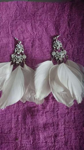 Earrings/ jewellery