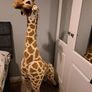 5ft Giraffe Teddy Melissa & Diug Image 5